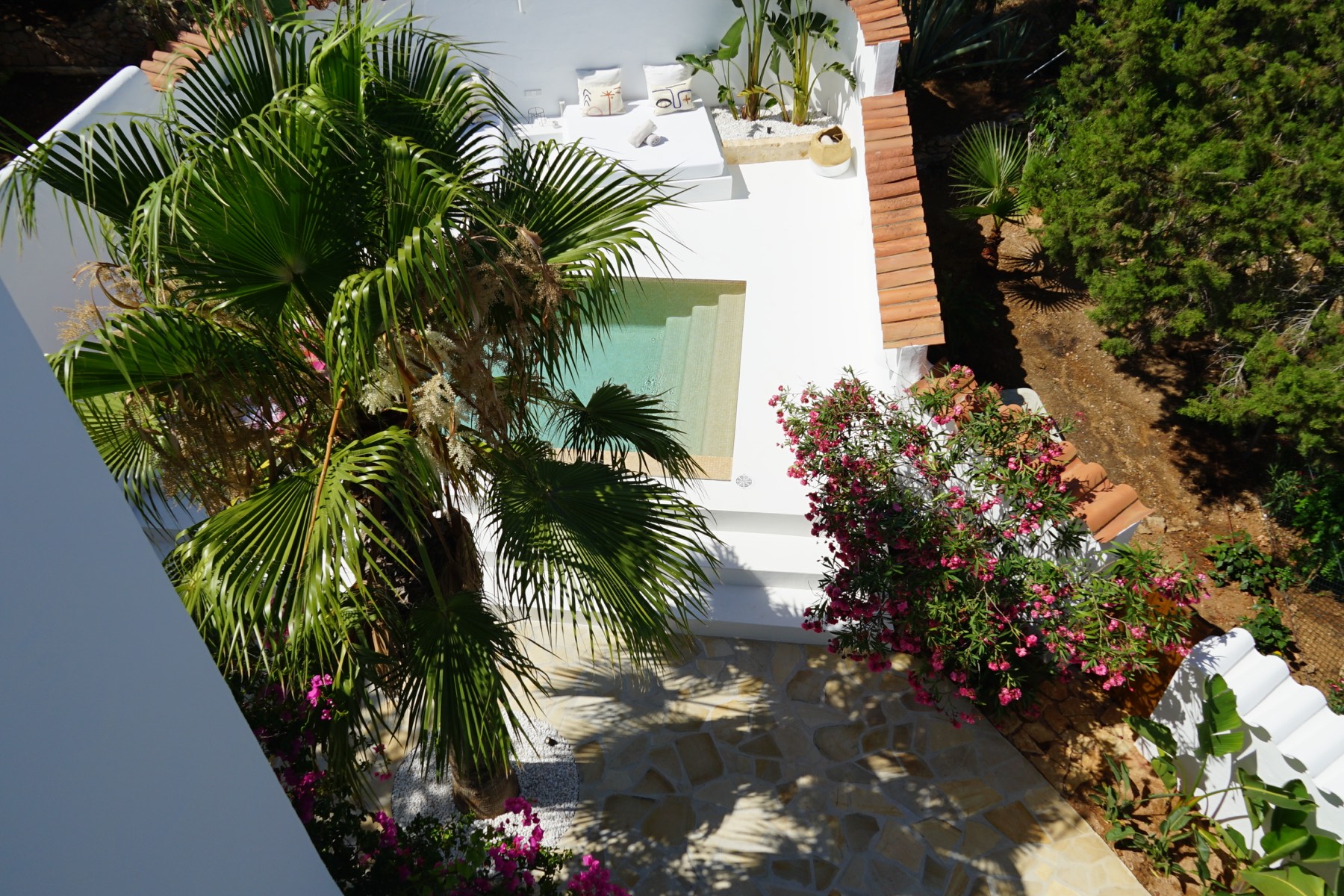 Pool and Mediterranean garden at Casa Vista Mar in Ibiza